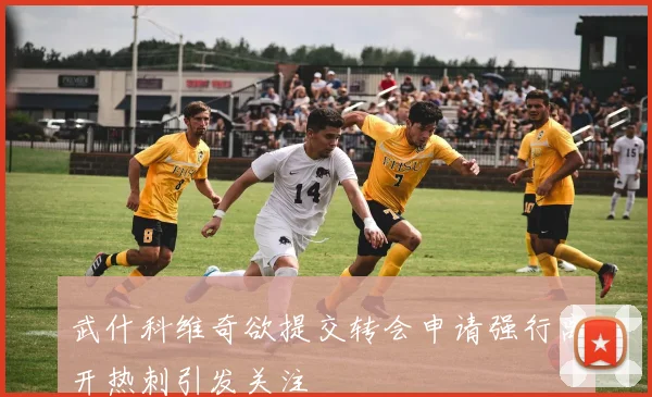 武什科维奇欲提交转会申请强行离开热刺引发关注